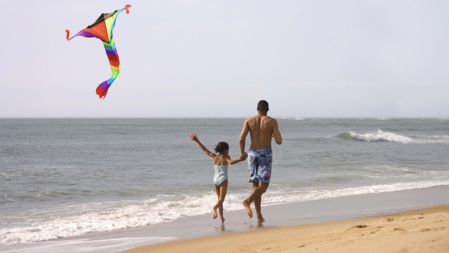 Illustration for article titled This Is Simply A List Of Black People Flying Kites